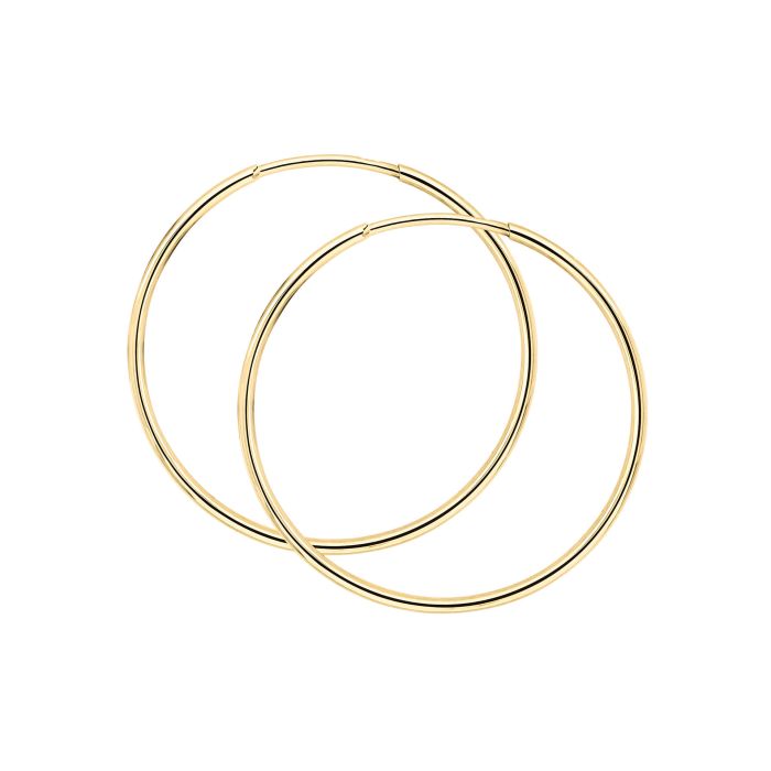 Elements Gold Hoop Earrings-3