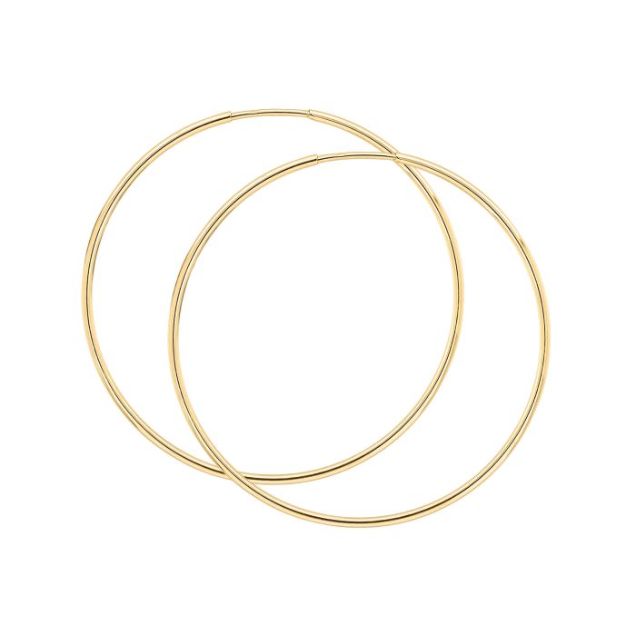Elements Gold Hoop Earrings-5